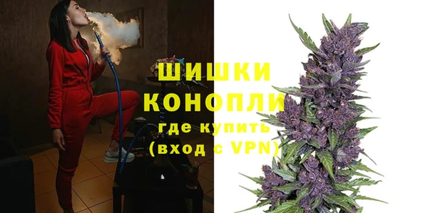 соль ск Белокуриха