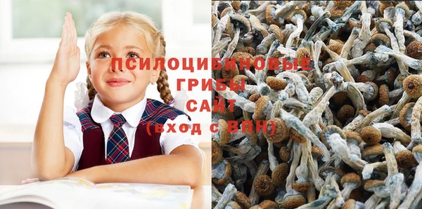 мяу мяу мука Белоозёрский