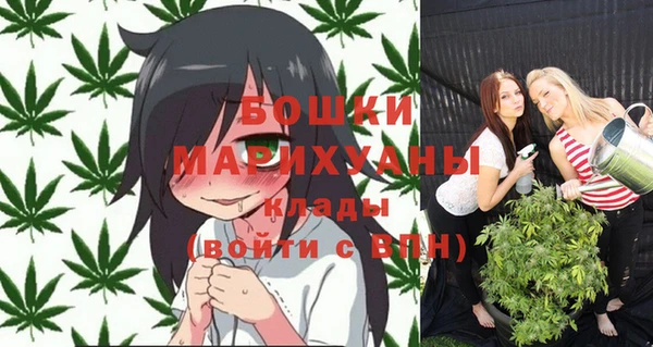 соль ск Белокуриха