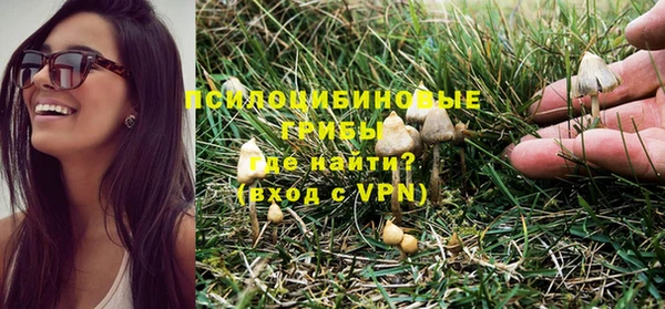 соль ск Белокуриха