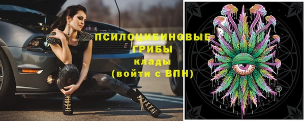 гашик Сосновка