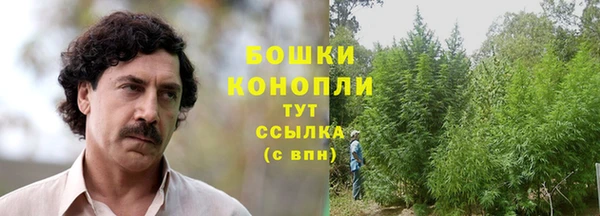 соль ск Белокуриха
